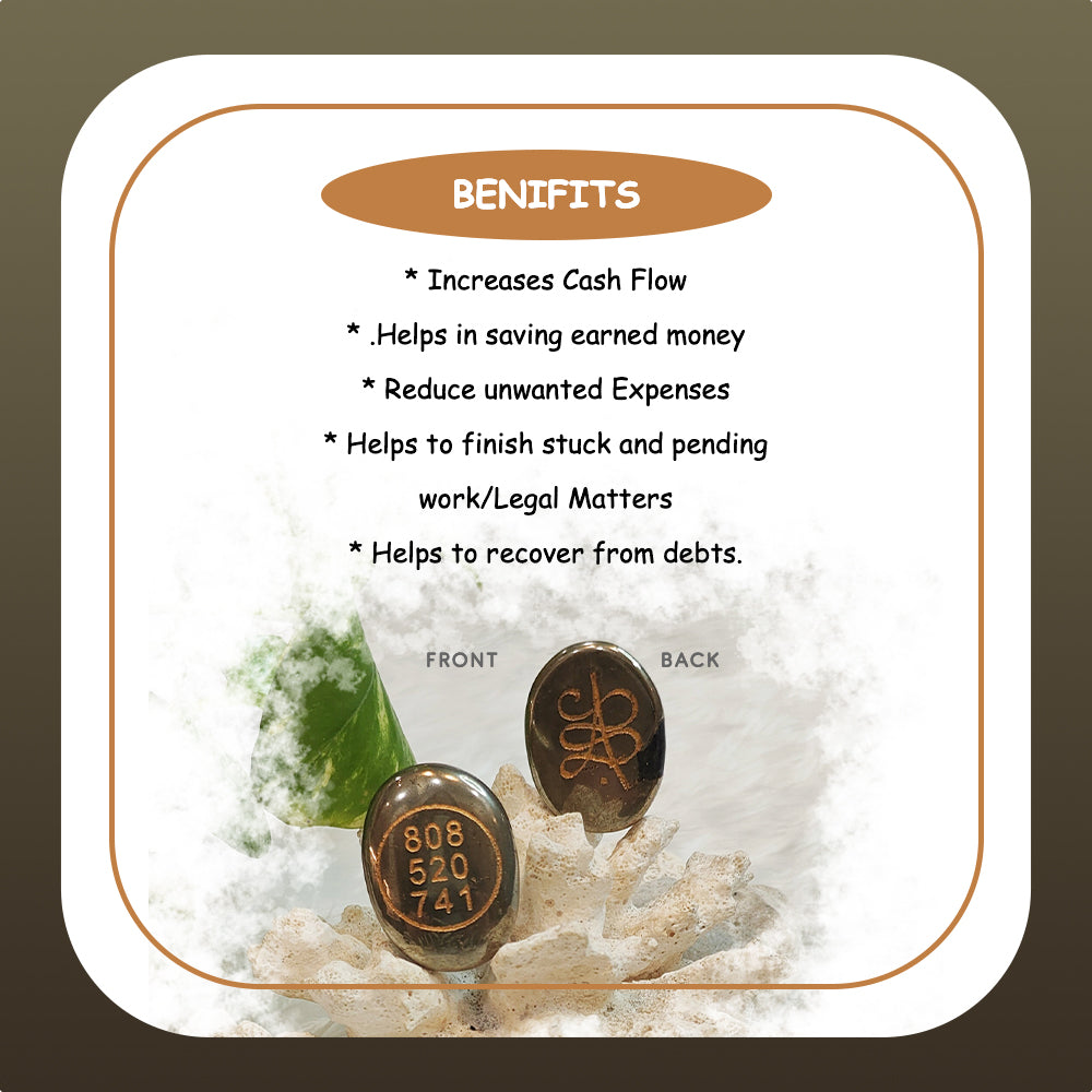 Pyrite Zibu Coin -  2 Pcs