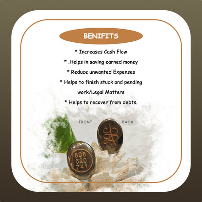 Pyrite Zibu Coin -  2 Pcs